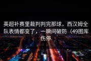 英超补赛里裁判判完那球，西汉姆全队表情都变了，一瞬间破防（49图库伤停
