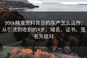 99tk精准资料背后的灰产怎么运作：从引流到收割的4步：域名、证书、签名先核对