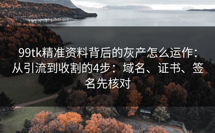99tk精准资料背后的灰产怎么运作：从引流到收割的4步：域名、证书、签名先核对